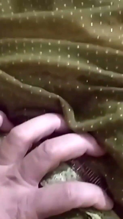 Mysore IT-professor Vandana neukt heet en viraal met student in sari en beha | Clip 2