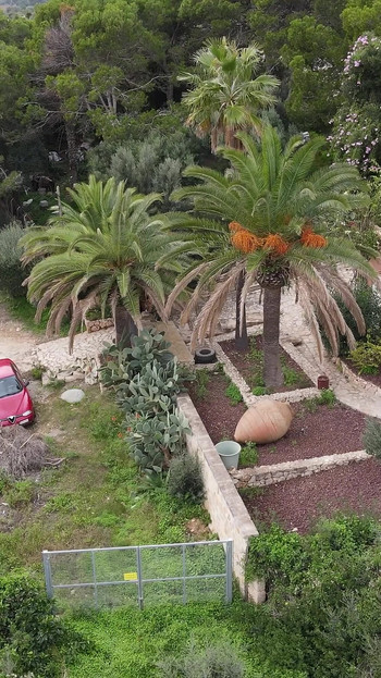 Vânătorul de curvă germană fute o mamă sexy nebunește tatuată cu țâțe masive - futai dur dur