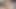 My stepmom wants me to cum inside her big hairy pussy while dad works. Hairy pussy close up