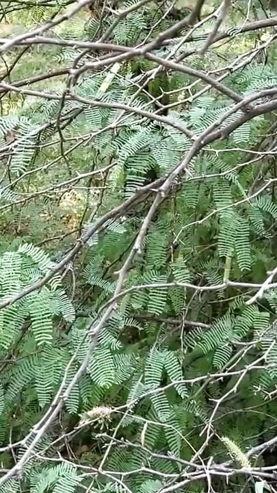 كشفت الفتاة عن كل أسرار العطاء والأخذ.