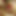 Foreplay by the Fire: a Sensual Christmas Tease - 444