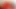 Cherise roze twerking dengan bodysuit lingerie merah