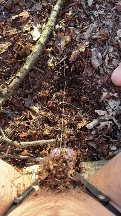 Unforgettable moment from "Releasing chasttiy cage in forest"