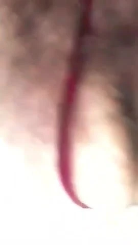 daddy bear be fucked