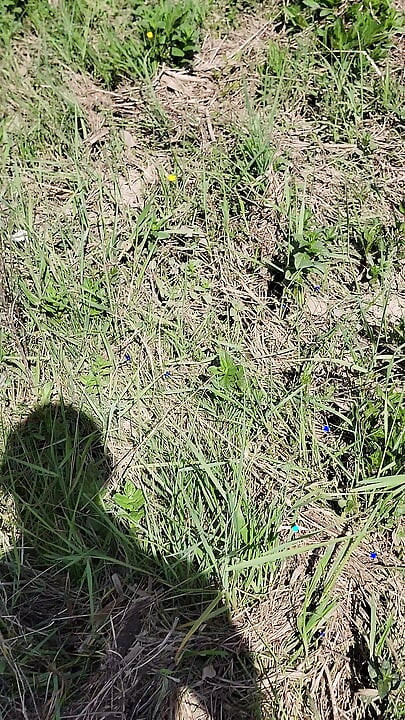 Barefoot Trough The River. May 2026.