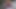 アマチュアミセス・クロース セクシーなクリスマスダンス&ストリップティーズ