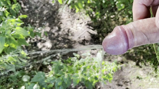 Hard in piss in the woods
