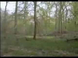 Vybhichari pati ke sahakarmi ko choosna