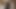 ヒューマンモルモット - デイジーマインクス