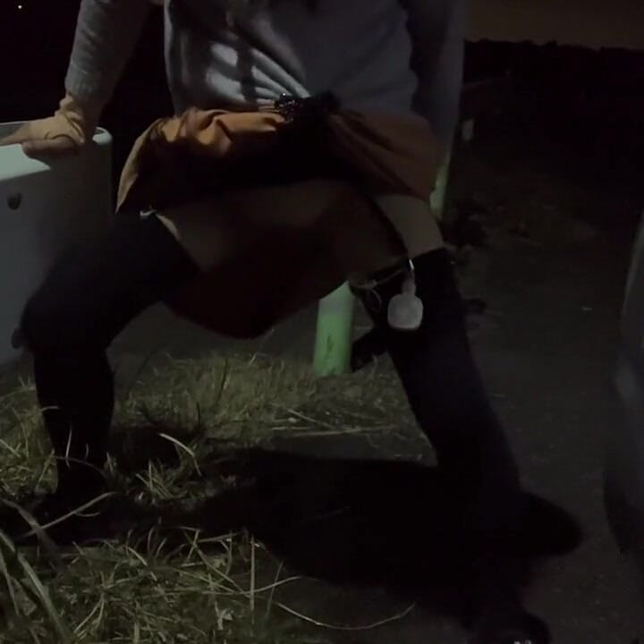 独立训练No32夜间散步中的狗式