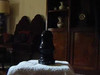 Pregled videozapisa