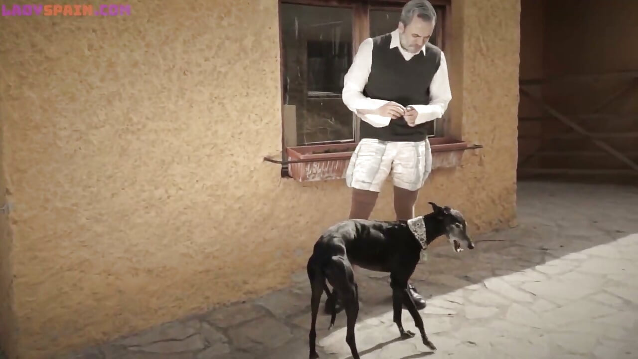 English Version of the Porn Parody Don Quixxxote, with Hairy Pussies and Anal Sex to Enjoy