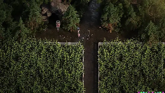 Порядок генезиса (по NLT) - часть. 29 (NVO)