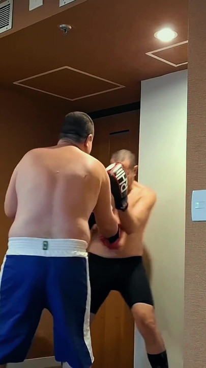 Tombul ayı boksör vs jobber