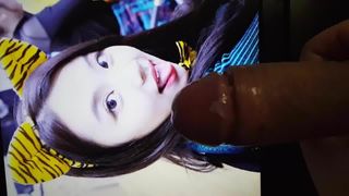 TWICE Chaeyoung cum tribute