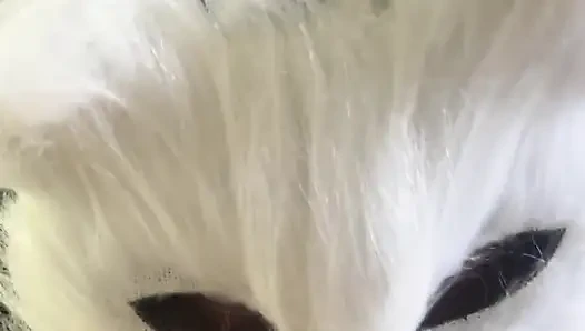 Today I'm a Naughty Kitten Who Wants Milk