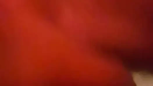 lanet o kedi