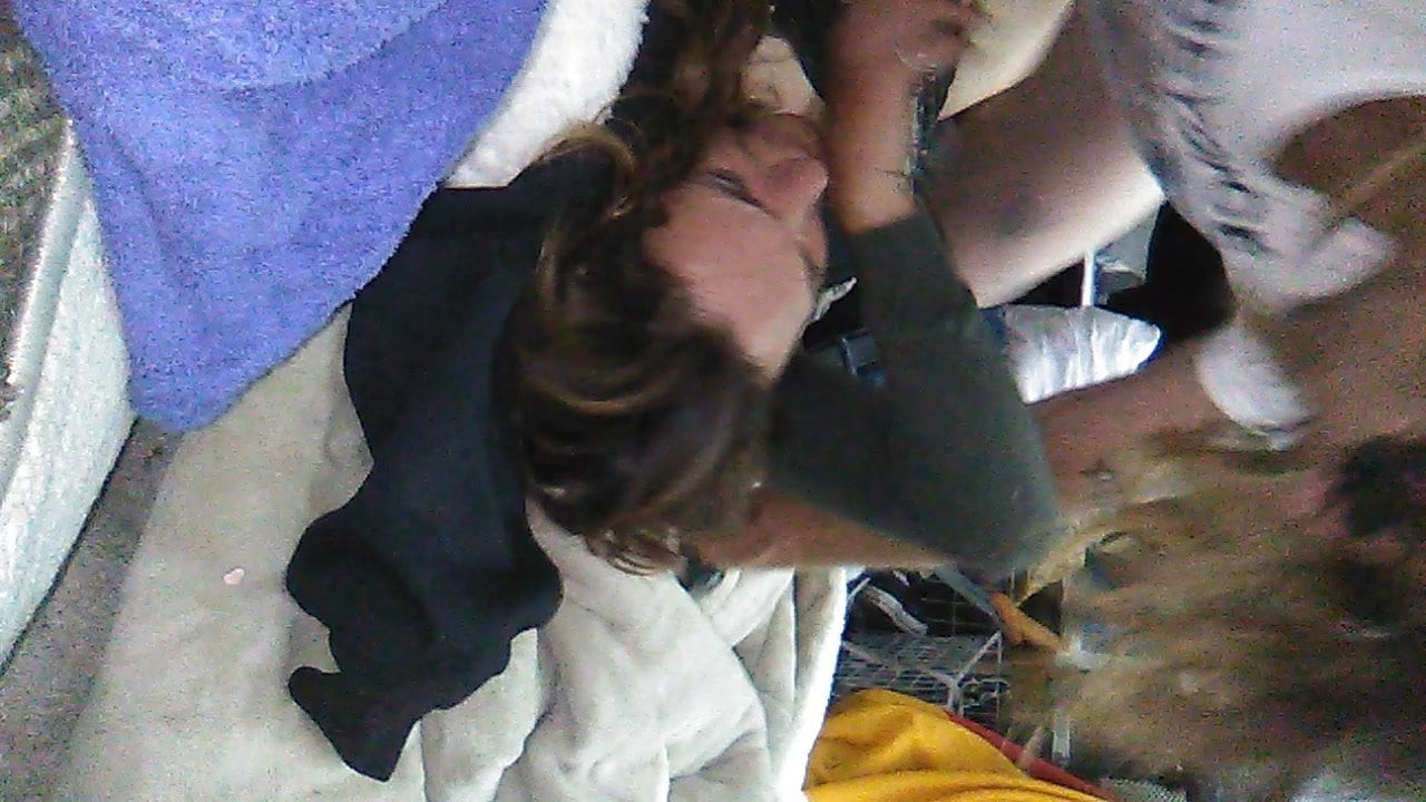 BeBe throated