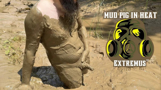 MUD PIG IN HEAT