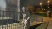 Pratonton Video