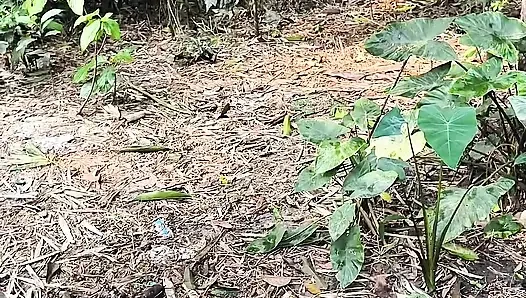 Keindahan diam-diam di tamanku