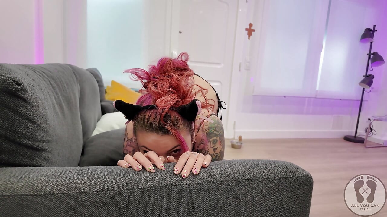 Cosplay Kitty Play Meowing Licking Crawling Behaviour Cat