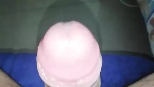 harika ön yargı