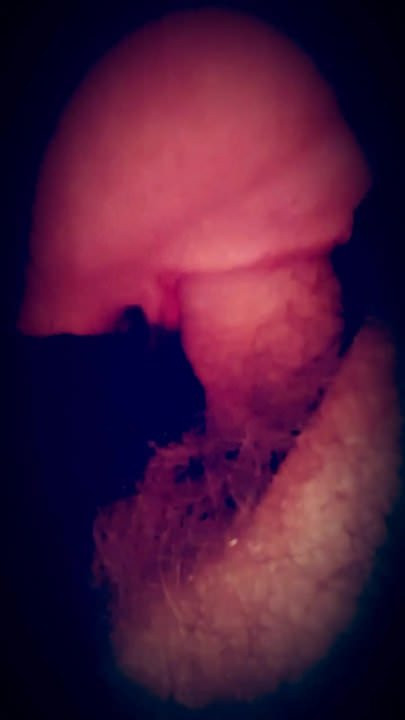 Blow job time (very short vid)