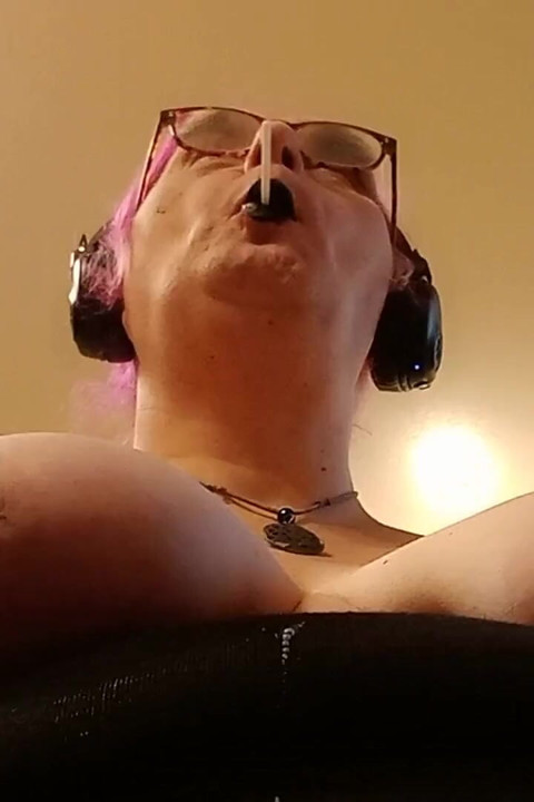 Drooly Moo Puts on Her Collar