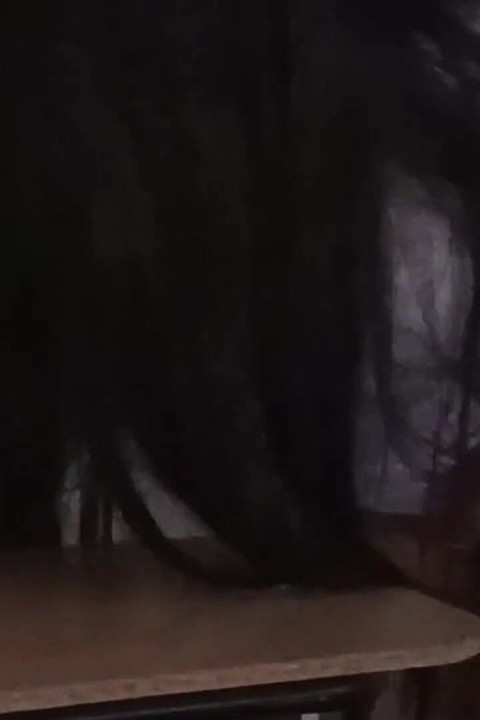 To je ono što pravi prijatelji rade kada je učionica prazna. (2. dio)