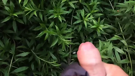 Açık havada mastürbasyon videosu.