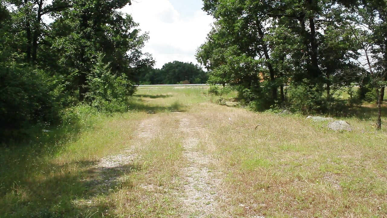 Za Za sclav antrenament cu o găleată de pizdă