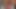 おもちゃで2回目