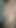 TIKTOK SLUT PIERCED NOODLE SHOWS OFF HER PERKY TITS