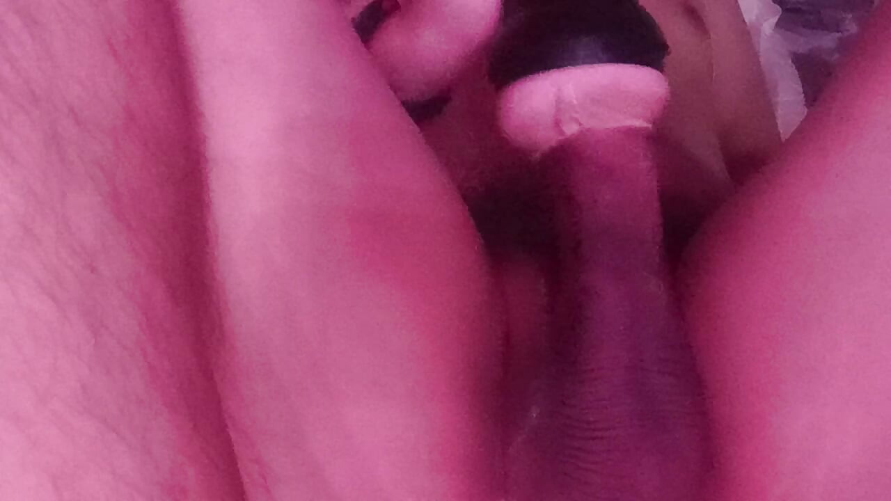 Warm My Milk Day 1664