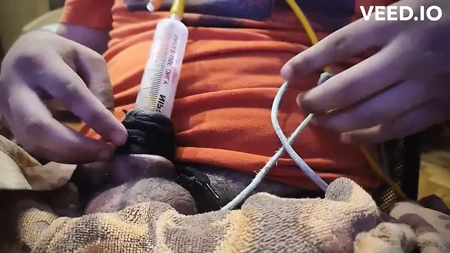 catheter play with penis pump