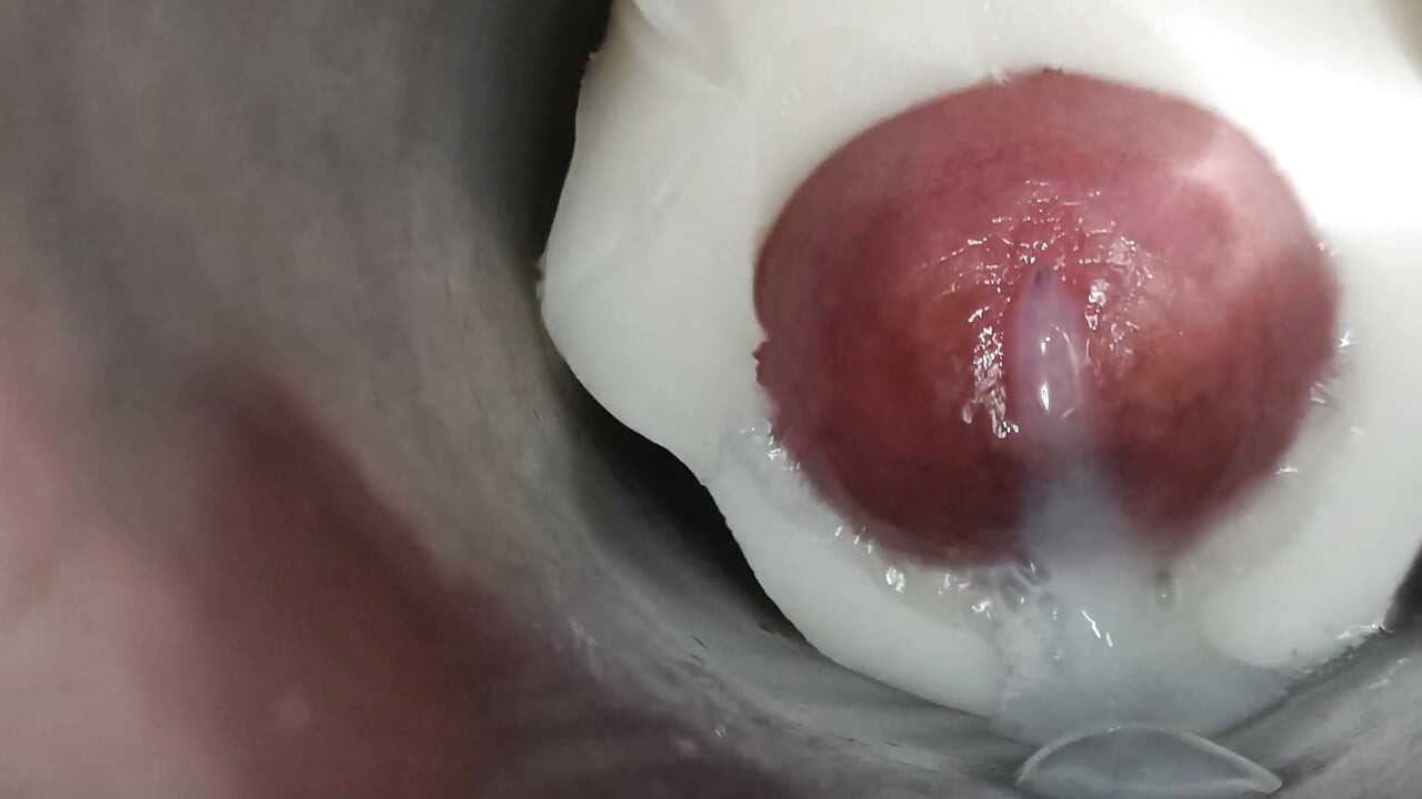 Internal view: vulva twitching and ejaculation 1