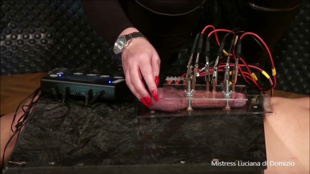 Electro and Milking