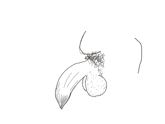 Lets draw a big black uncircumcised cock