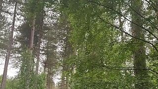 Đi bộ bằng chân trần và khỏa thân từ xe hơi để được đụ trong rừng