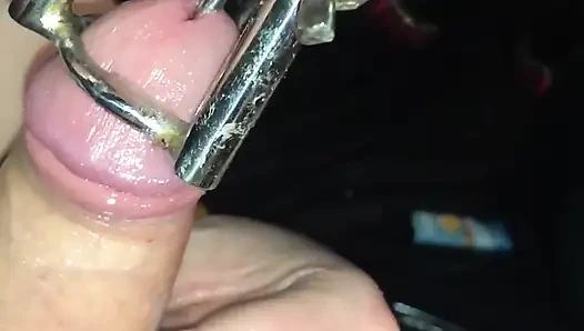 Watch How My Little Piggy Is Allowed to Watch