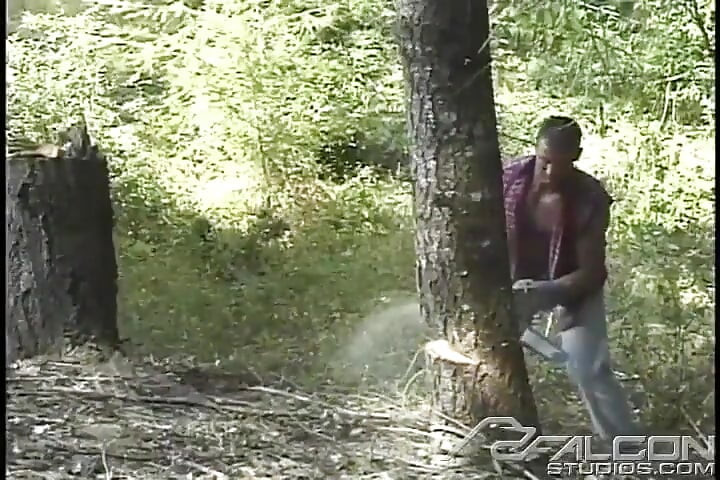 Lumberjacked: misdaden tegen de natuur