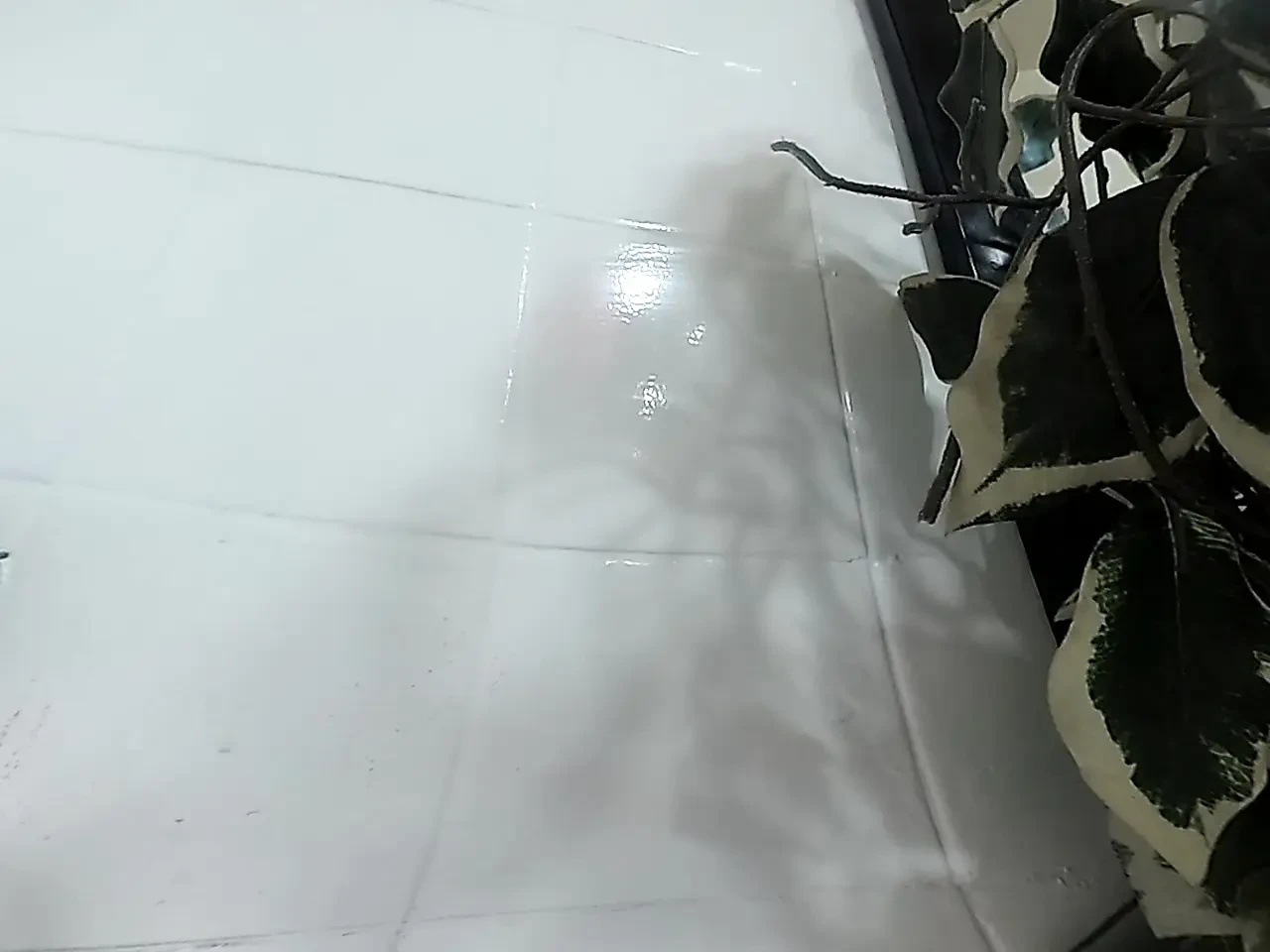 Lizzy Yum VR 2025 Edging #192