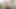 trying to work while sitting on a dildo and vibrator - teaser - veggiebabyy- full vid on manyvids!