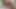 Horny Blowjob and Face Cumshot for a Horny Pretty Tiny Thai Trans Vol 2
