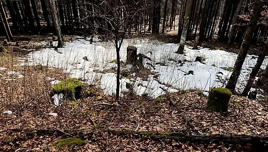 Outdoor Forest Fun - Wet Handjob, Deep Blowjob and Risky Doggy Fuck