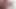 Daddy Bear precum and cum on you with uncut big bear cock