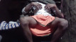 Pratinjau video
