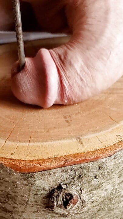 Punishing the tail and nailing it to the wood