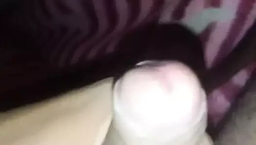Hintli yarak